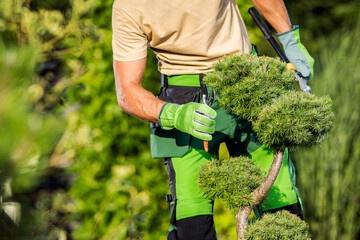 Understanding The Importance Of Professional Tree Care Services: An Insight Into Stokes Tree Solutions