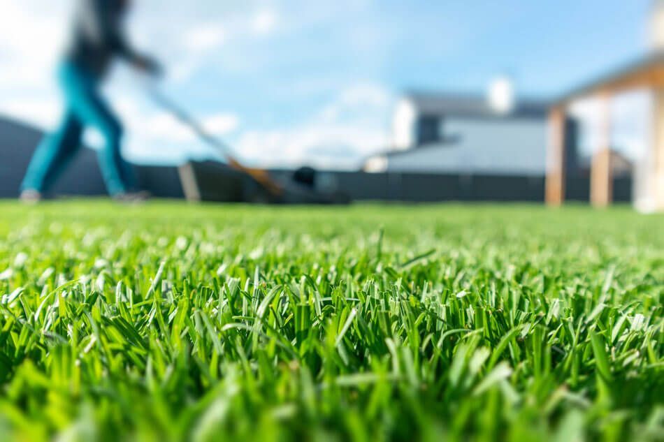 Green Lawns Solutions Presents: The Benefits of Professional Lawn Service for Orlando Residents